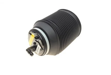 Пневмоподушка подвески задняя R Toyota Land Cruiser Prado 02-09 Lexus GX (пр-во Toyota) TOYOTA 4808035011