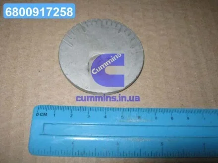 Шайба эксцентрик (развальная) Toyota Land Cruiser 07- Lexus LX (пр-во Toyota) TOYOTA 4819834010