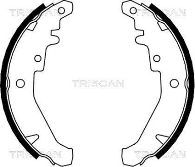 Комплект гальмівних колодок TRISCAN 810015026