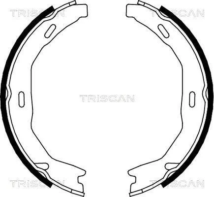 Комплект гальмівних колодок стояночного гальма TRISCAN 810023029 (фото 1)
