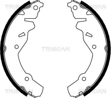 Комплект гальмівних колодок TRISCAN 810080002