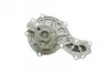 Помпа води Audi A4/A6/VW Passat 1.6/1.8/1.8T/quattro 94-05 AUTOMOTIVE UA63 TRUCKTEC 07.19.082 (фото 8)
