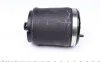 Подушка пневмопідвіски (ззаду) BMW X5 00-06 (R) AUTOMOTIVE (opt-om) TRUCKTEC 08.30.047 (фото 2)