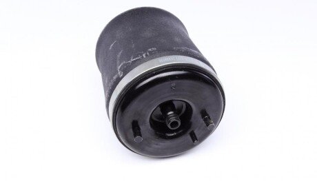 Подушка пневмопідвіски (ззаду) BMW X5 00-06 (R) AUTOMOTIVE (opt-om) TRUCKTEC 08.30.047