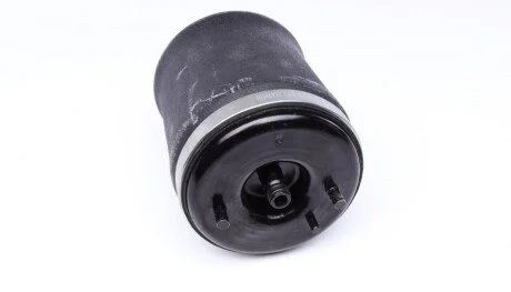 Подушка пневмопідвіски (ззаду) BMW X5 00-06 (R) AUTOMOTIVE (opt-om) TRUCKTEC 08.30.047