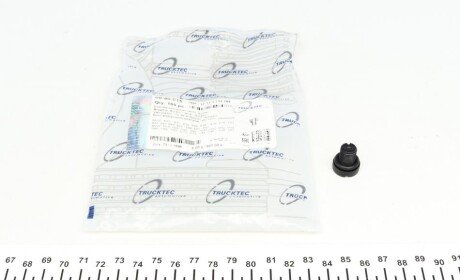 Болт системи випуску повітря для радіатора BMW 3 (E36/E46)/5 (E34/E39)/7 (E38) 82-12 (opt-om) TRUCKTEC 08.40.015