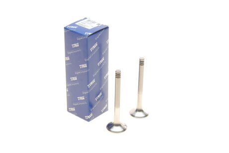 Випускний клапан TRW 331142
