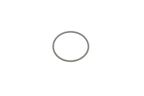 Кільце VAG 4L0130519