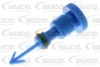 Зливна пробка радіатора BMW 3 (E46), X3 (E83), X5 (E53), Z4 (E86) 1.6-3.0D 12.97-08.11 VAICO V20-1377 (фото 1)