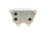 Радіатор масляний SEAT; VW; SKODA; AUDI C.I.U Van Wezel 03013704 (фото 3)