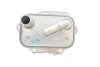 Радіатор масляний CITROEN C5/ FORD MONDEO/PEUGEOT 4007 508 2.2 HDi (вир-во) C.I.U Van Wezel 09013704 (фото 4)
