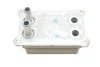 Радіатор масляний FORD MONDEO III (GE) (00-) 2.0 TDCi (вир-во) Van Wezel 18013705 (фото 6)