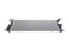Радіатор охолодження Renault Megane III/Scenic III 1.6/2.0 08- VAN WEZEL (opt-om) Van Wezel 43002445 (фото 1)