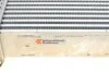 Радіатор інтеркулера MB Citan/Renault Kangoo 1.5 dCi 08- VAN WEZEL (opt-om) Van Wezel 43004615 (фото 6)
