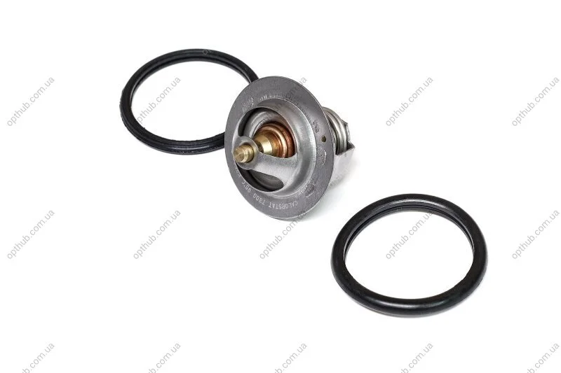 Термостат NISSAN / RENAULT (вир-во) C.I.U Vernet TH7300.95J (фото 1)