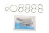 Комплект прокладок гумових КОЛЛ. IN (SET) OPEL/FIAT 2.0CDTI 08- A20DT/A20DTC/A20DTL/Z20DTJ/263A4.0 VICTOR REINZ 11-40692-01 (фото 2)