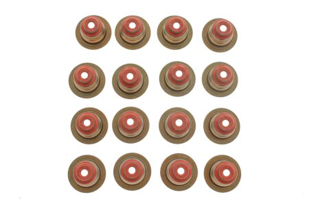 Комплект сальників клапанів IN/EX (SET) OPEL A20DTC/A20DTH/A20DTJ (16PCS) VICTOR REINZ 12-38209-02
