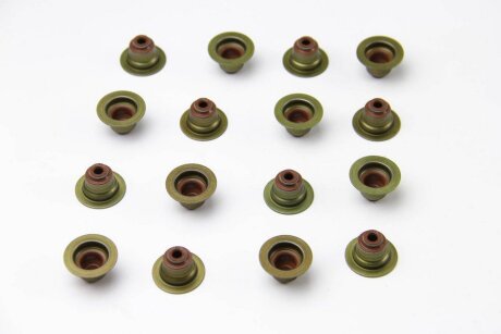 Комплект сальників клапанів IN/EX(SET) DAEWOO LANOS/NEXIA VICTOR REINZ 12-53393-01