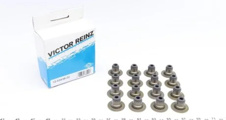 Комплект сальников клапанов IN/EX (SET) HYUNDAI TUCSON 2.0 G4GC VICTOR REINZ 12-53438-02