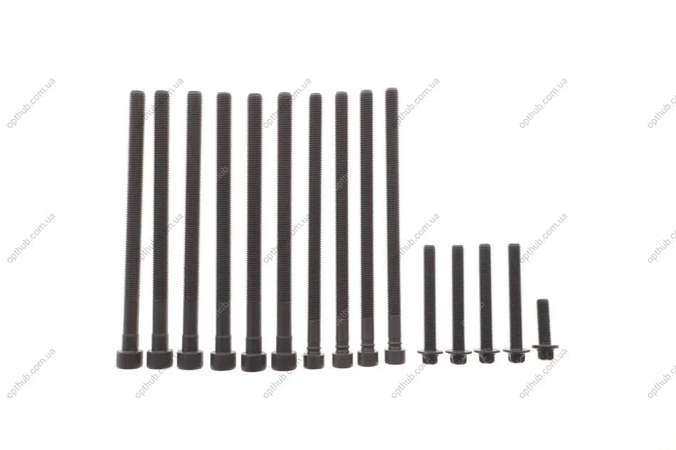 Комплект болтів з головкою системи TORX з чорного металу БОЛТЫ Г/Б (SET) BMW -ua VICTOR REINZ 14-10010-01 (фото 1)