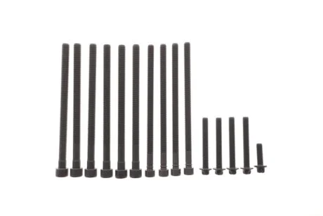 Комплект болтів з головкою системи TORX з чорного металу БОЛТЫ Г/Б (SET) BMW -ua VICTOR REINZ 14-10010-01