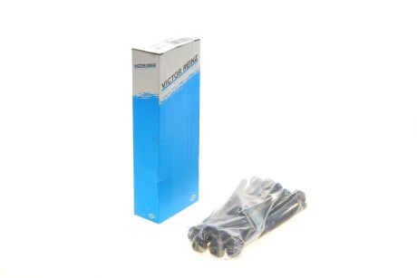 Комплект болтів гбц VICTOR REINZ 14-10013-01