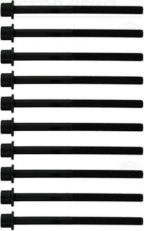 Комплект болтів з головкою системи TORX з чорного металу БОЛТЫ Г/Б JEEP/DODGE 2.4 ED6 -ua VICTOR REINZ 14-10883-02