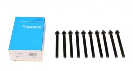 Комплект болтов гбц REINZ VICTOR REINZ 14-32005-01