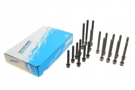 Комплект болтов головки цилиндра (10+7+3) VICTOR REINZ 143205601