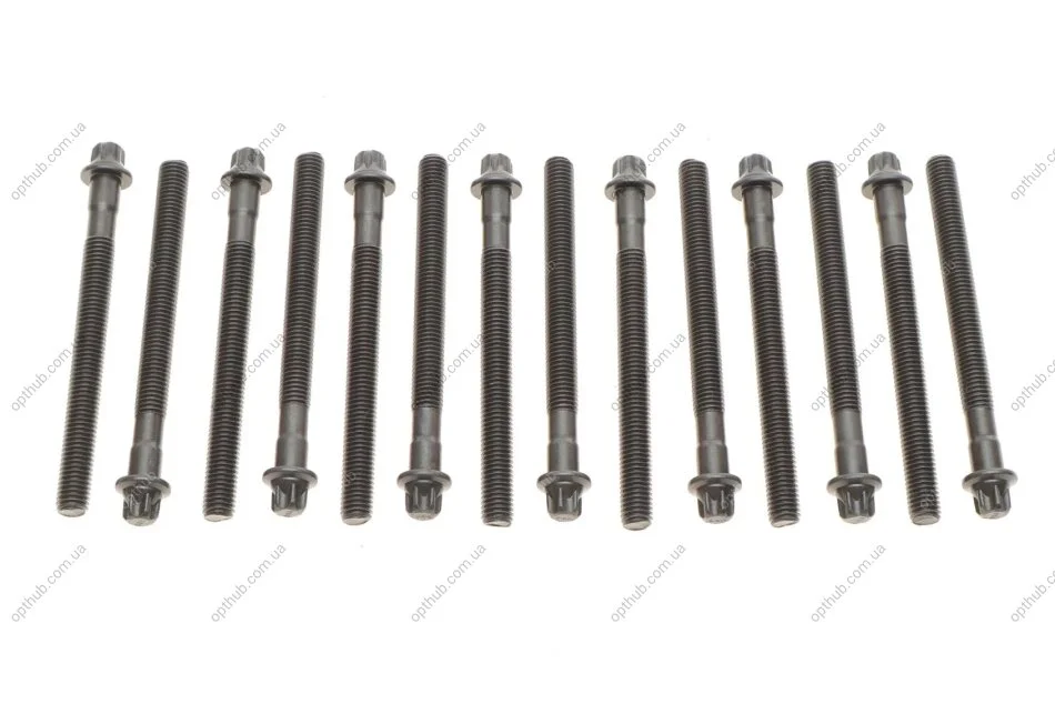 Комплект болтів з головкою системи TORX з чорного металу BMW M52B20/M52B25/M52B28 -ua VICTOR REINZ 14-32101-01 (фото 1)