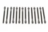 Комплект болтів з головкою системи TORX з чорного металу BMW M52B20/M52B25/M52B28 -ua VICTOR REINZ 14-32101-01 (фото 1)