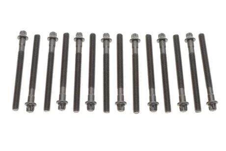 Комплект болтів з головкою системи TORX з чорного металу BMW M52B20/M52B25/M52B28 -ua VICTOR REINZ 14-32101-01