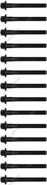 Комплект болтов с головкой системы TORX из черного металла MB OM613/OM648 VICTOR REINZ 14-32109-03 (фото 1)