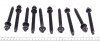 Болты головки (к-кт 10шт).) Citroen Berlingo/Jumper/Fiat Ducato/Peugeot Boxer 1.9D 94-06(M12x1 UA63 VICTOR REINZ 14-32116-01 (фото 2)