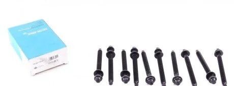 Болти головки (к-кт 10шт.) Citroen Berlingo/Jumper/Fiat Ducato/Peugeot Boxer 1.9D 94-06(M12x1 UA63 VICTOR REINZ 14-32116-01