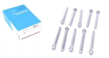 Комплект болтов с головкой системы TORX из черного металла RENAULT F9Q NEW VICTOR REINZ 14-32146-01