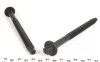 Комплект болтов с головкой системы TORX из черного металла FORD 1.4TDCI/1.6TDCI, PSA DV6ATED4/DV6TED VICTOR REINZ 14-32206-01 (фото 3)