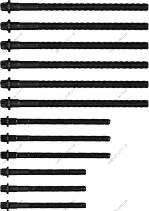 Комплект болтів з головкою системи TORX з чорного металу BMW N40/N42/N45/N46 -ua VICTOR REINZ 14-32314-01 (фото 1)
