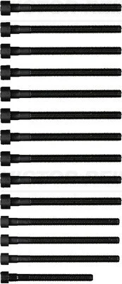 Комплект болтов с головкой системы TORX из черного металла BMW N52/N53 VICTOR REINZ 14-32315-01 (фото 1)