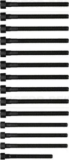 Комплект болтів з головкою системи TORX з чорного металу BMW N52/N53 -ua VICTOR REINZ 14-32315-01