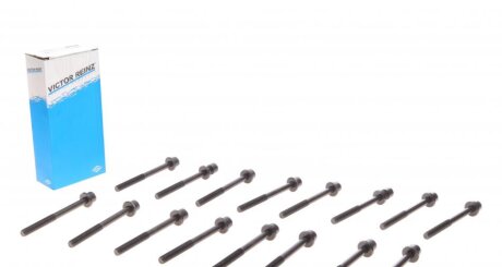 Комплект болтів з шестигранною головкою з чорного металу NISSAN VQ20DE/VQ30DE -ua VICTOR REINZ 14-55007-01