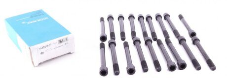 Комплект болтів з шестигранною головкою з чорного металу MITSUBISHI 4D55/4D56, HYUNDAI D4BH (18) VICTOR REINZ 14-55015-01