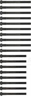 Комплект болтів з головкою системи TORX з чорного металу TOYOTA 1.8/2.0D 1C/1C-L/1C-TL/2C/2C-E/2C- VICTOR REINZ 14-55028-01