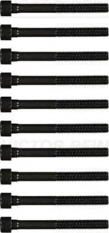 Комплект болтів з головкою системи TORX з чорного металу VICTOR REINZ 14-55036-01