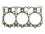 Прокладка головки блока цилиндров VICTOR REINZ 61-36810-00 (фото 1)
