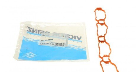 Прокладання впускного колектора REINZ VICTOR REINZ 71-12493-00