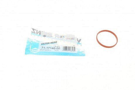 Прокладання впускного колектора REINZ VICTOR REINZ 71-17146-00