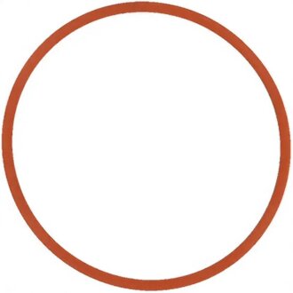 Прокладка колектора двигуна гумова КОЛЛ. IN BMW КОРПУСА -ua VICTOR REINZ 71-17370-00