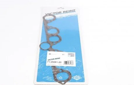 REINZ VICTOR REINZ 71-25061-20