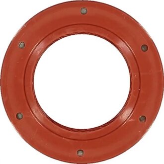 Ущільнююче кільце REINZ VICTOR REINZ 81-24911-00